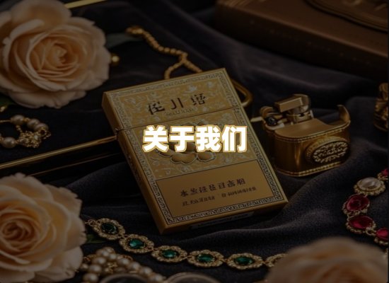 关于我们
